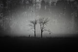 In A Dark Dream Poster och Canvastavla