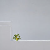 stand alone Poster och Canvastavla