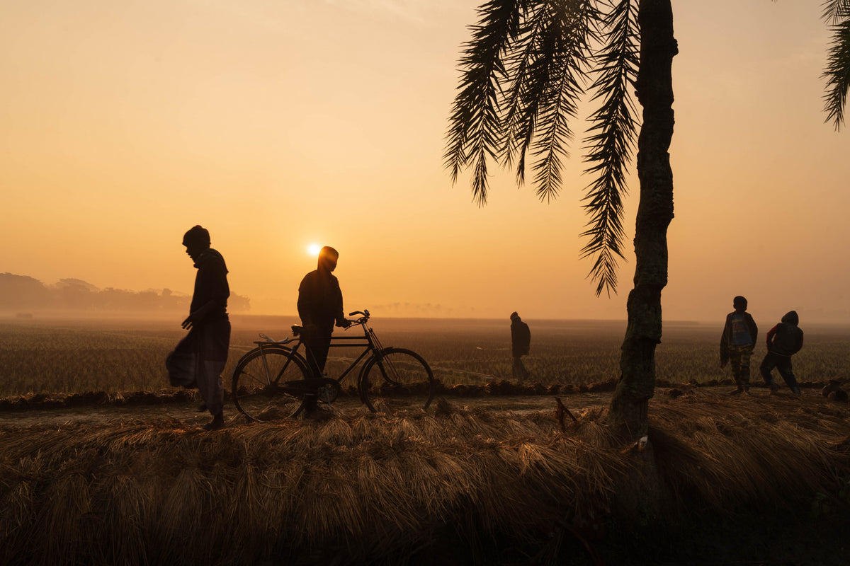 Winter in Kashimpur. Poster och Canvastavla