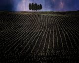 fields in early spring Poster och Canvastavla