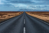 On the road Poster och Canvastavla