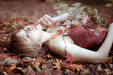 Autumn color Poster och Canvastavla