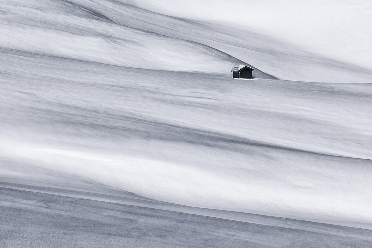 winterland Poster och Canvastavla