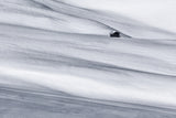 winterland Poster och Canvastavla
