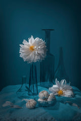 Garlic and Dahlia Poster och Canvastavla