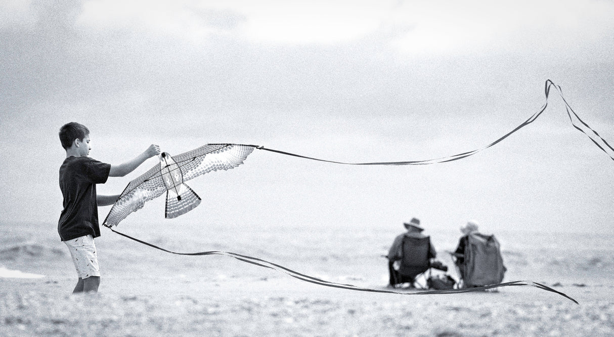 Kite Dream Poster och Canvastavla