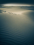 Light in the desert Poster och Canvastavla