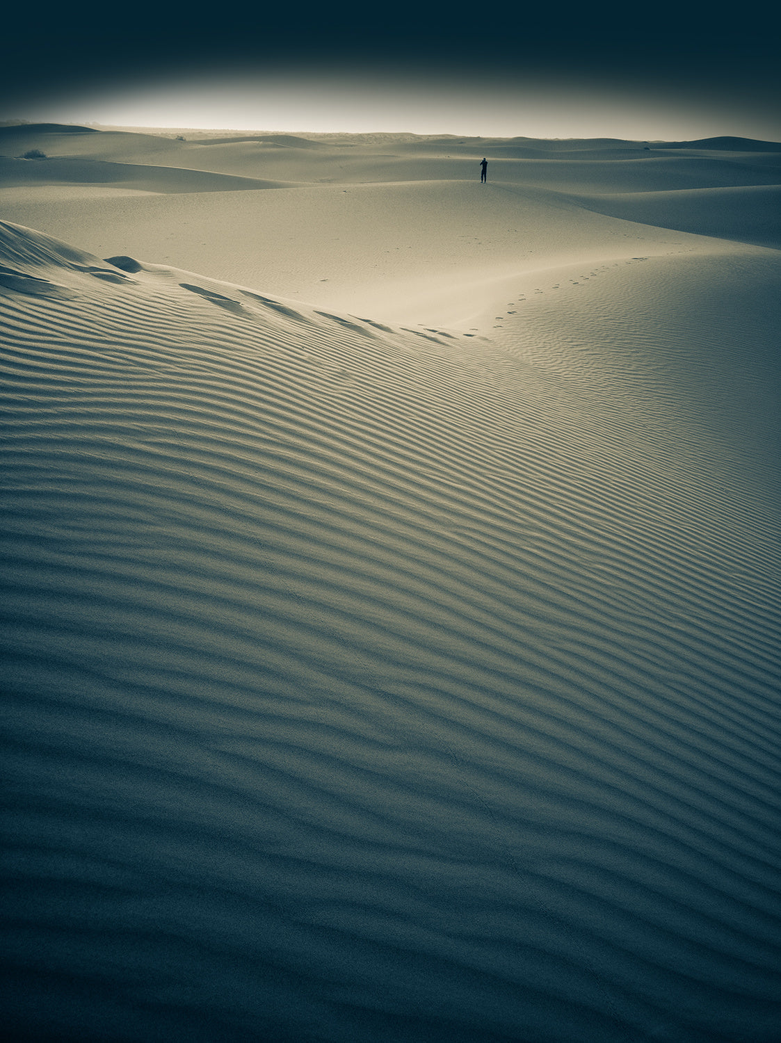 Light in the desert Poster och Canvastavla