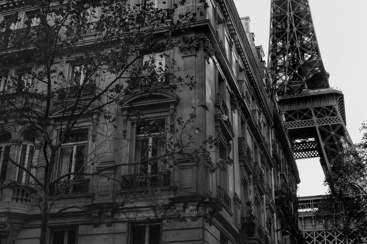 Eiffel Tower - Tour Eiffel Poster och Canvastavla