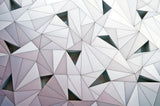 triangulation 1 Poster och Canvastavla