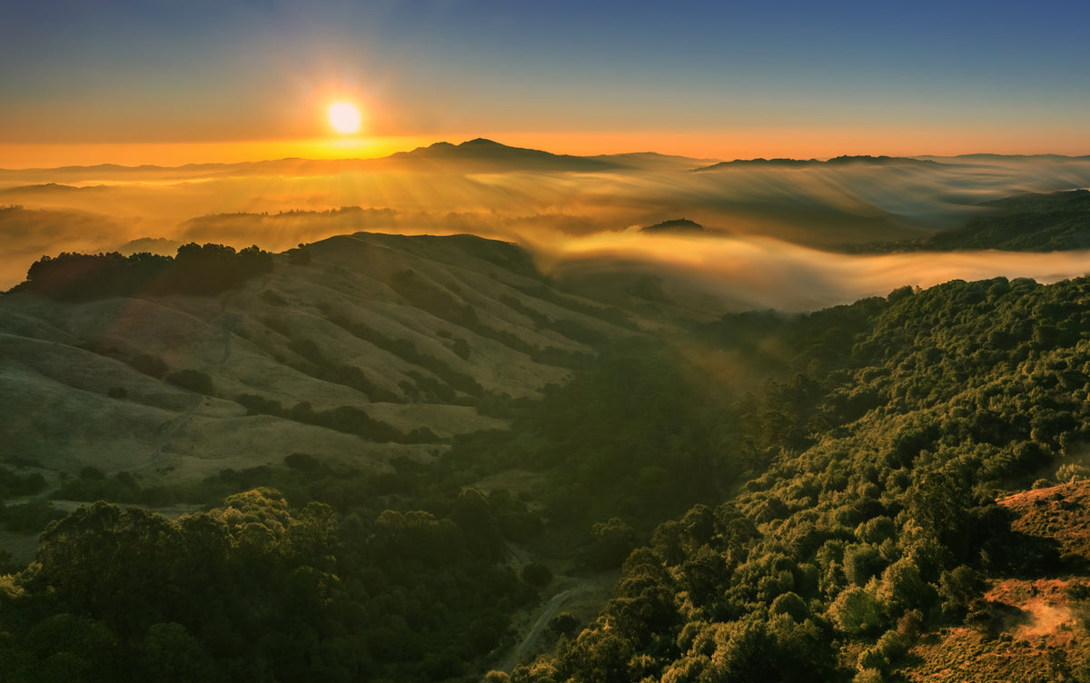 Sunrise at Berkeley Poster och Canvastavla