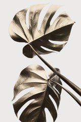 Monstera Gold 08 Poster och Canvastavla