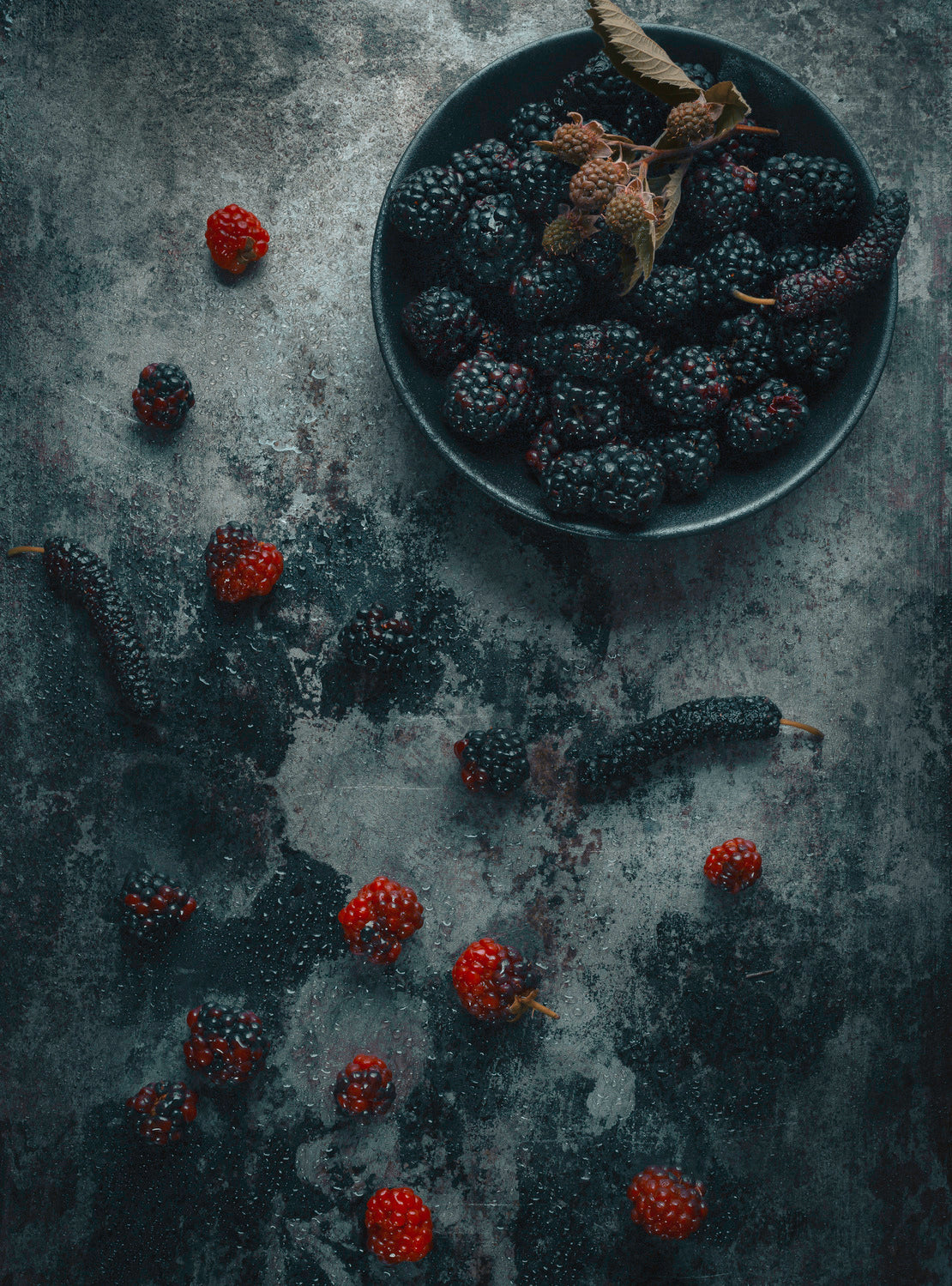 Black Strawberry Poster och Canvastavla