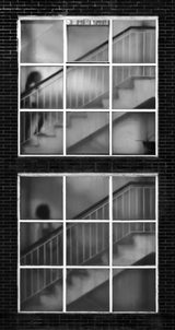 Up &amp; Down Poster och Canvastavla