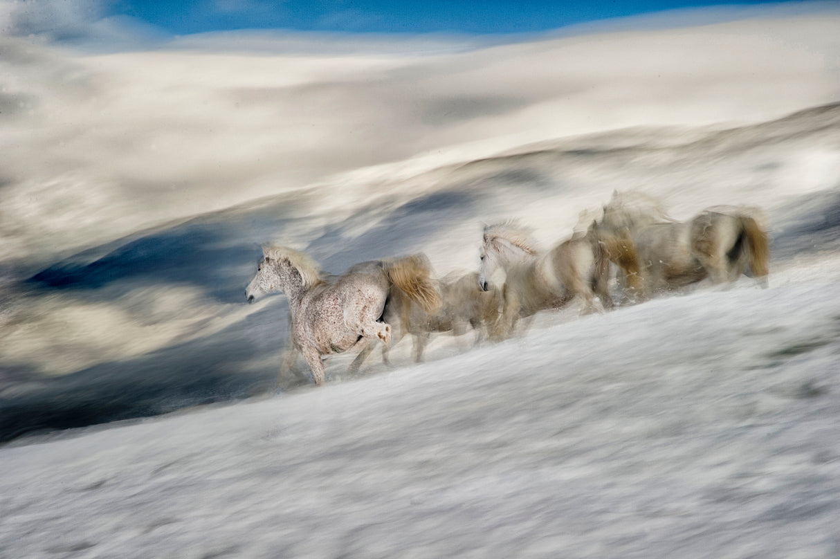 winter in high mountains Poster och Canvastavla