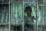 The Glass House.............. Poster och Canvastavla