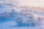 A world of ice and snow Poster och Canvastavla