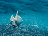Croisement bleu Poster och Canvastavla