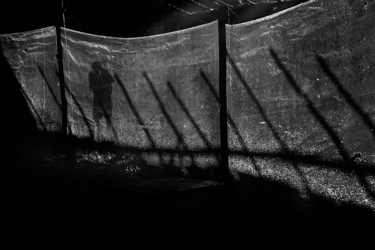 Dust in the dawn Poster och Canvastavla