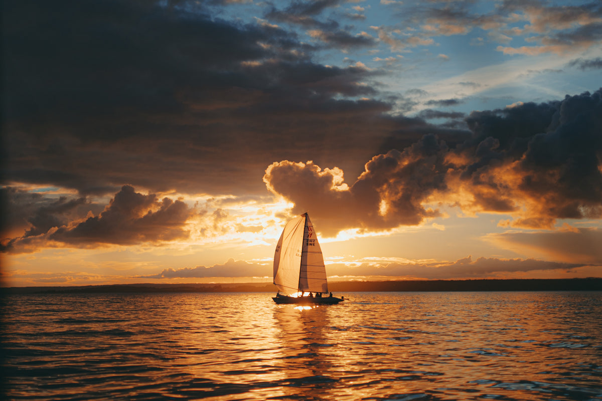 Sunsetsail Poster och Canvastavla