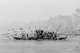 Early Morning on the Ganges Poster och Canvastavla