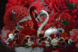 Flamingo &amp; Dahlias Romance Poster och Canvastavla
