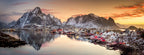 Reine Morning Light Poster och Canvastavla