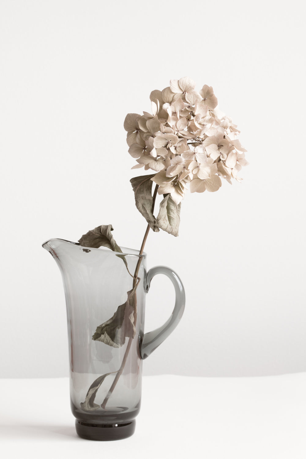 Dried flower in Jug_beige Poster och Canvastavla