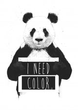 I need color Poster och Canvastavla