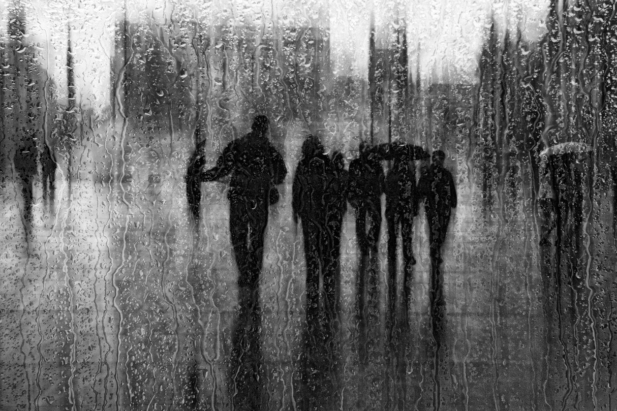 after the rain Poster och Canvastavla