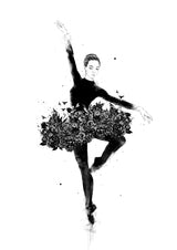 Floral dance Poster och Canvastavla
