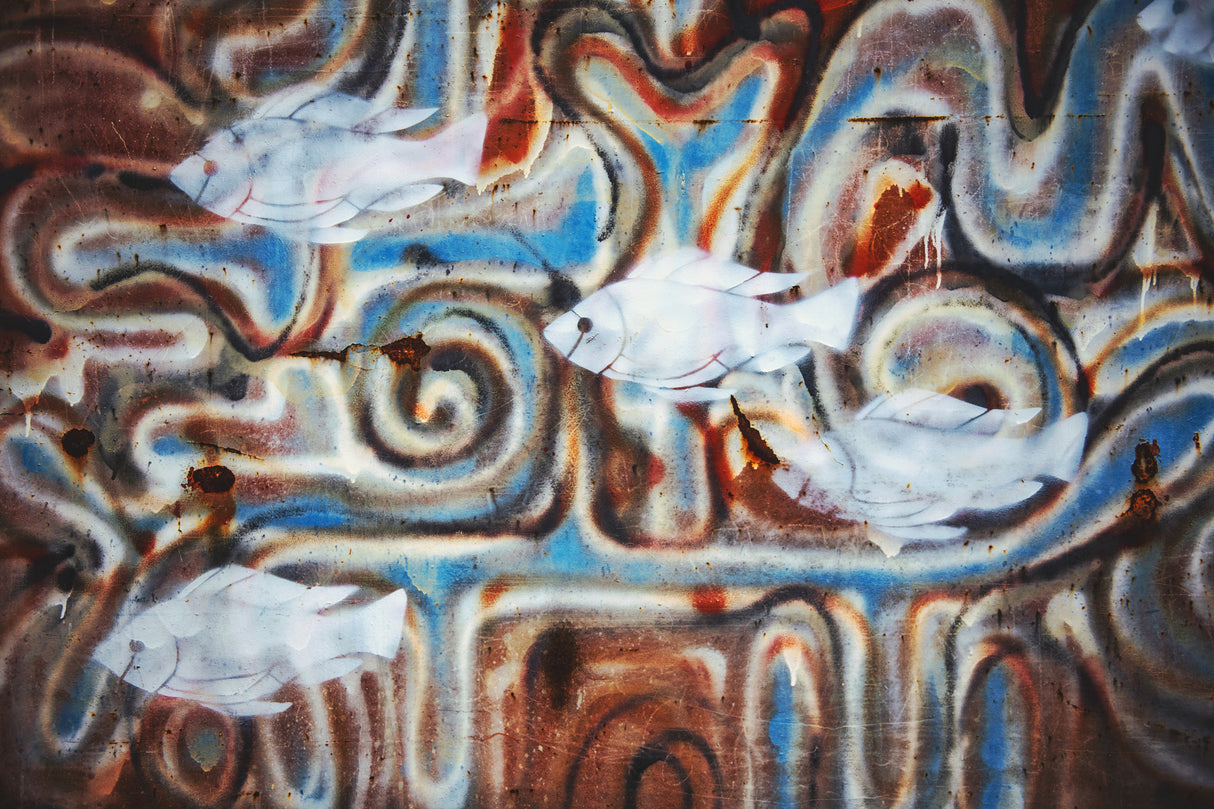 Fishies Poster och Canvastavla