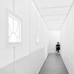 the light lane Poster och Canvastavla