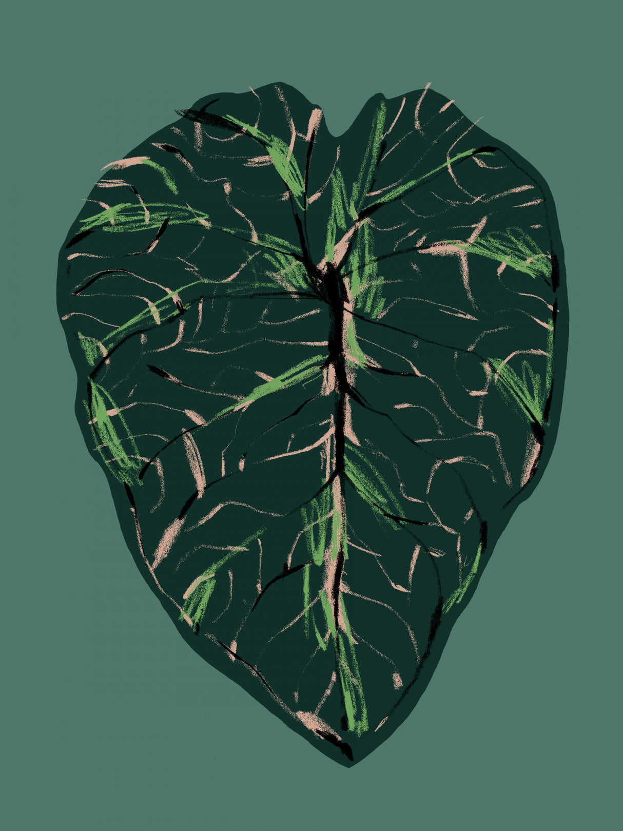 Alocasia Melo Dark Poster och Canvastavla