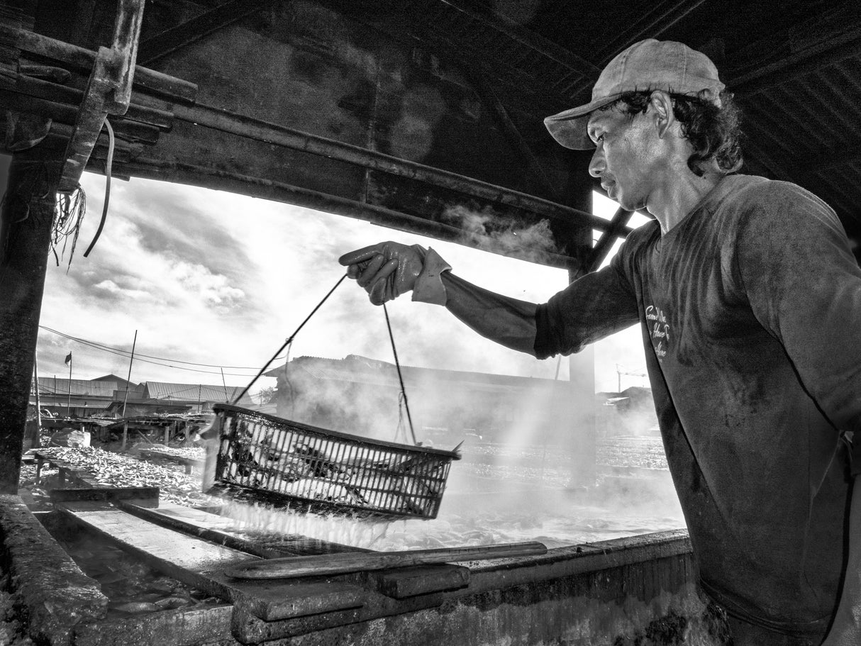 Bring Out Steam Fish Poster och Canvastavla
