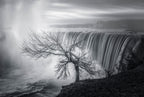 Niagara fall Poster och Canvastavla