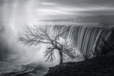 Niagara fall Poster och Canvastavla