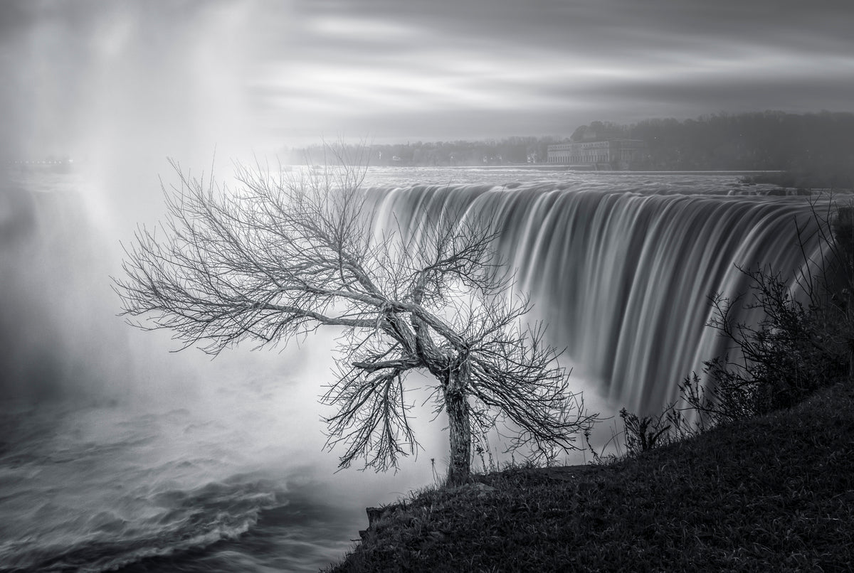 Niagara fall Poster och Canvastavla