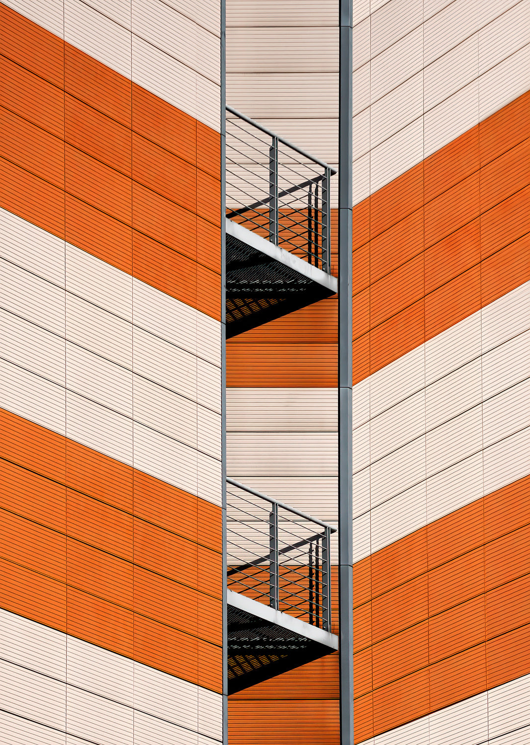 two lines Poster och Canvastavla