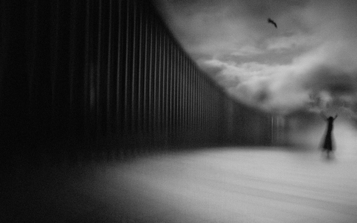 Freedom... Poster och Canvastavla