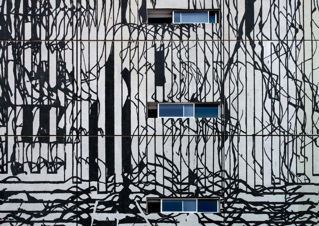 Structures of chaos. Poster och Canvastavla