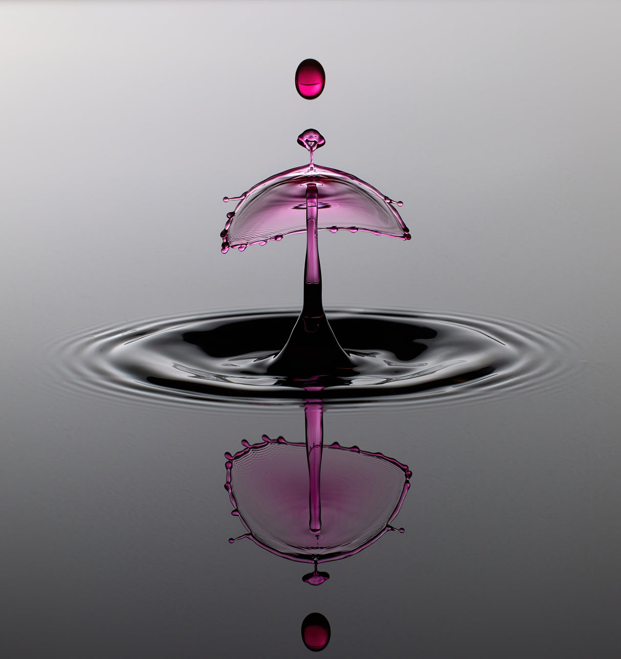 Water Art Poster och Canvastavla