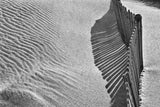 Castles in the Sand Poster och Canvastavla