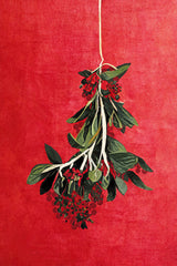 Painted Mistletoe Poster och Canvastavla