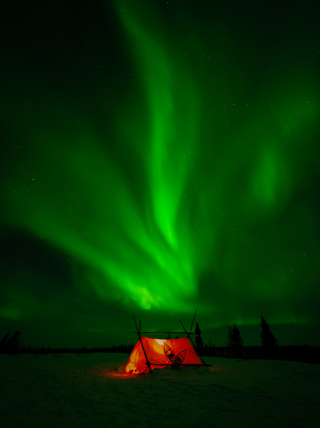 Aurora Borealis Poster och Canvastavla
