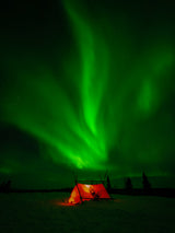 Aurora Borealis Poster och Canvastavla