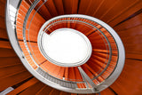 orange helix Poster och Canvastavla