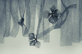 Ephemeral Beauty Poster och Canvastavla