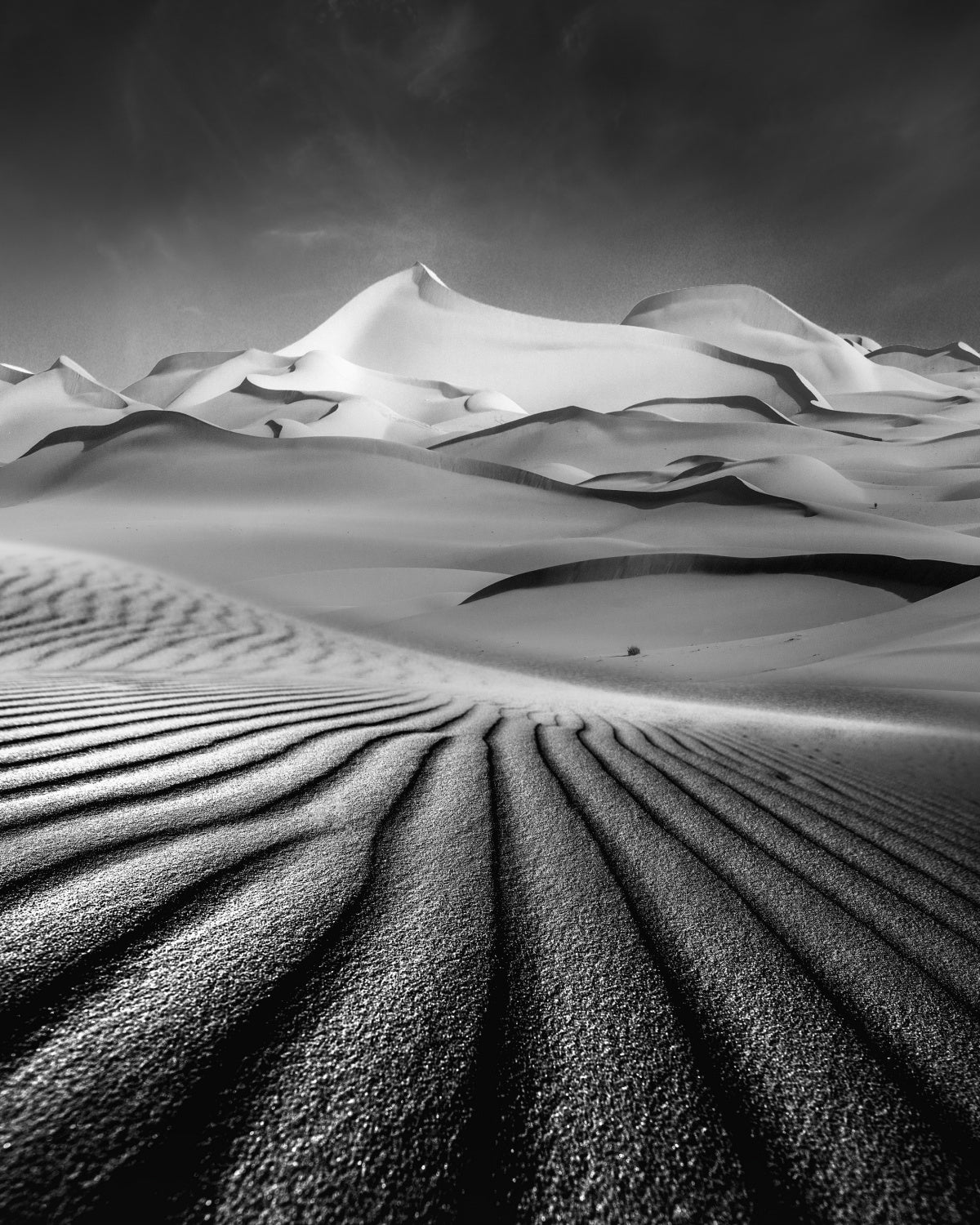 Endless Sands' Sea Poster och Canvastavla