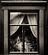 Dogs Poster och Canvastavla